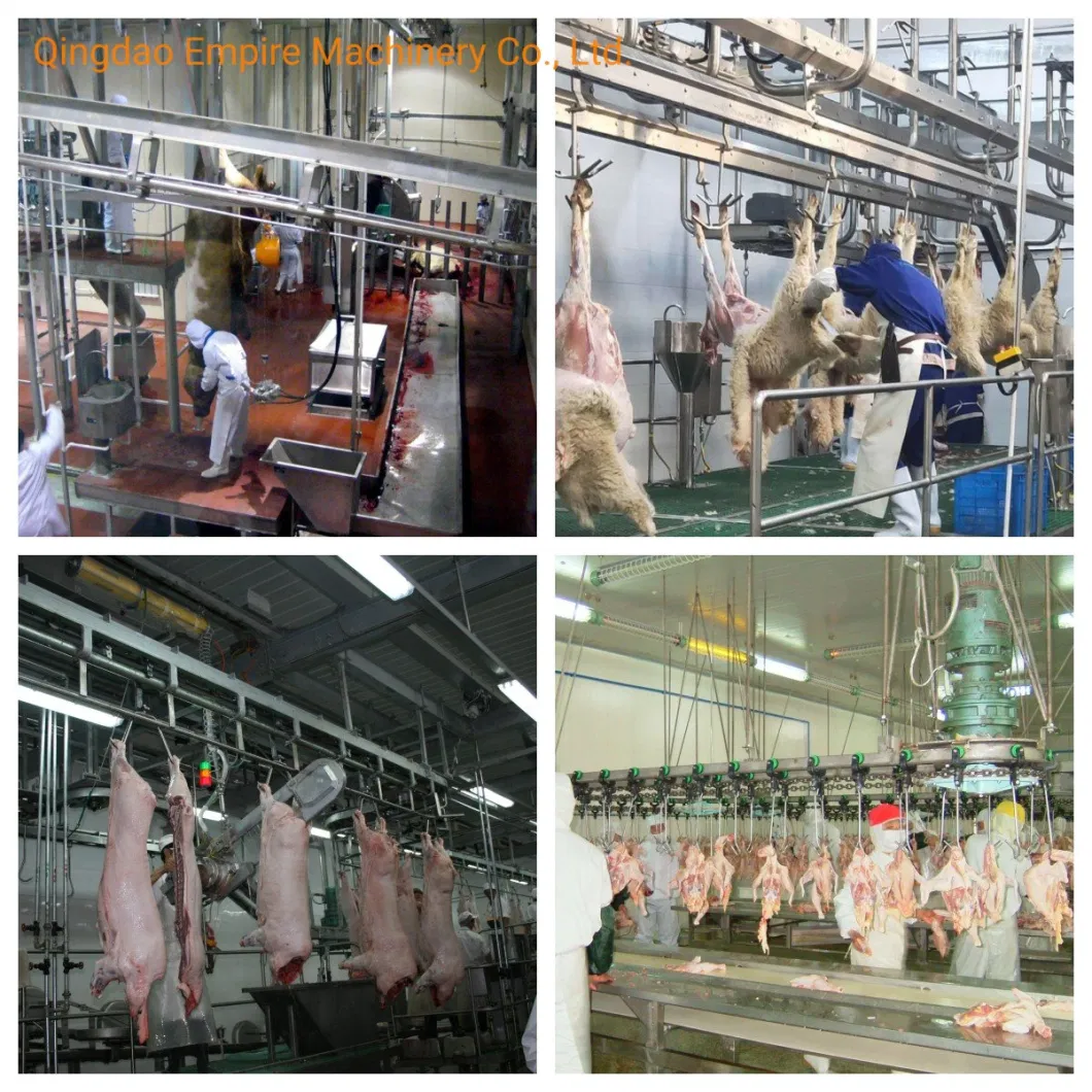 Pig Slaughterhouse Tools Abattoir Machine Slaughtering Equipment for Sale