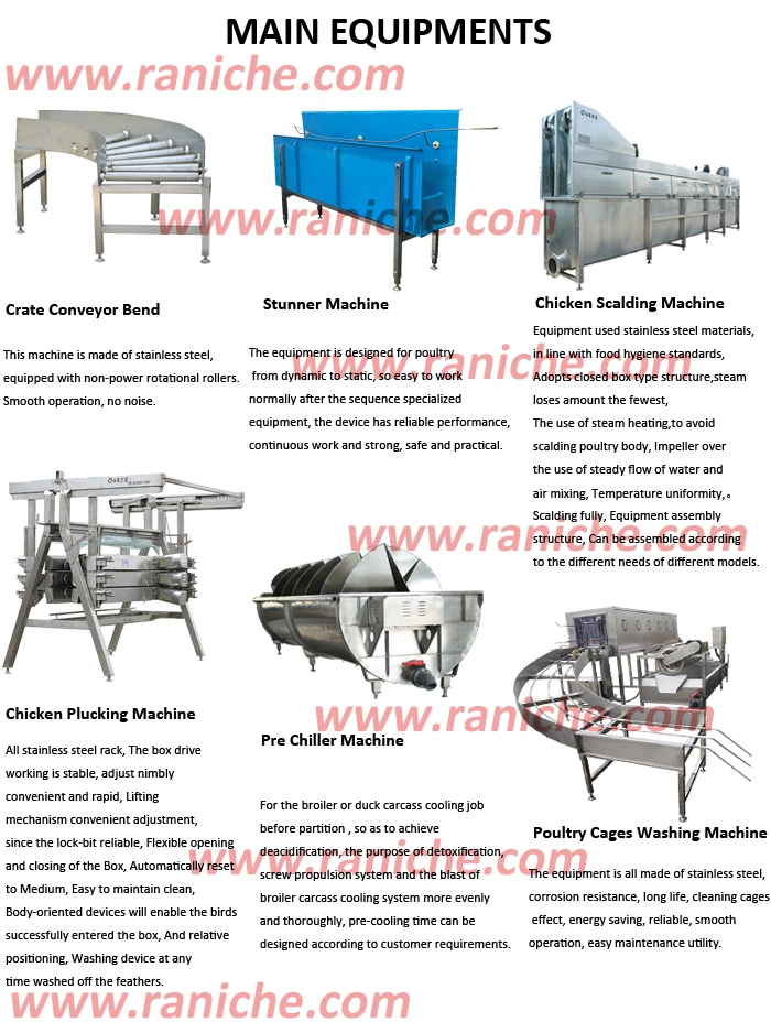 Abattoir Hot Sale Halal Poultry Chicken Slaughter Equipment