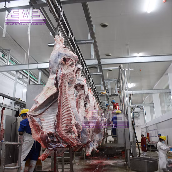 Máquina de abate de vacas, processamento de matadouro, ritual de gado, caixa de matança halal, equipamento de matadouro